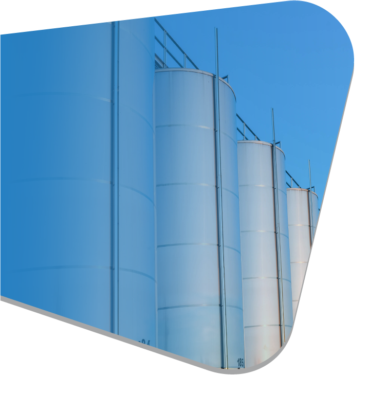 IImage-Mervequim-03